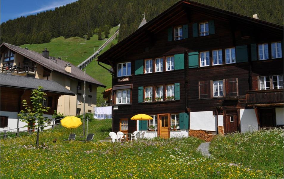 Chalet Bim Chilchli Mürren Kültér fotó